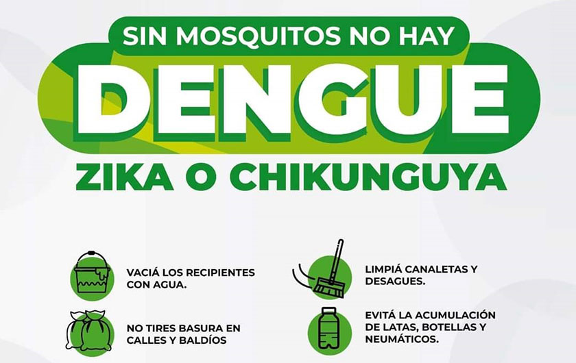flyer dengue