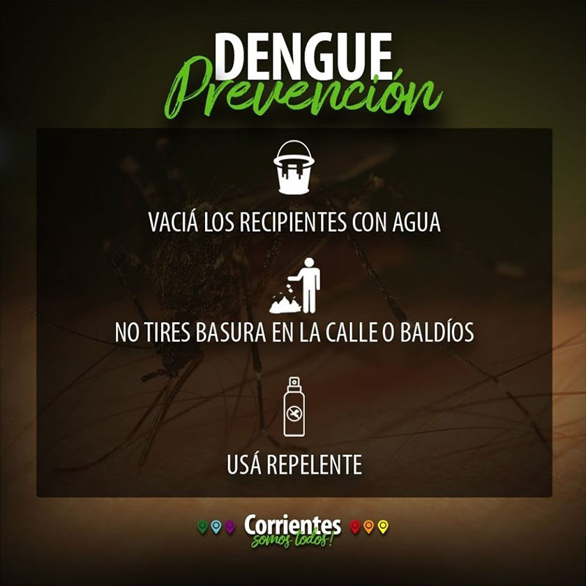 flyer dengue