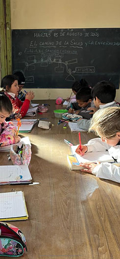 trabajos de alumnos por acciones de Sanidad escolar